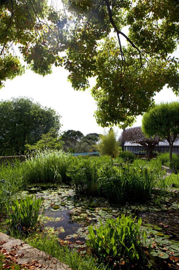 Apartamento Casa Rosa *