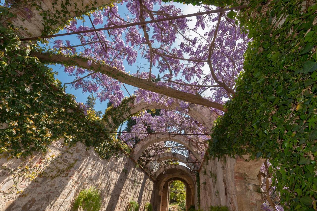 Casa Rosa Florença